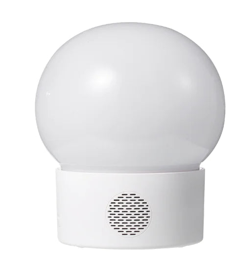 Halloween and Christmas Bluetooth Projector Light