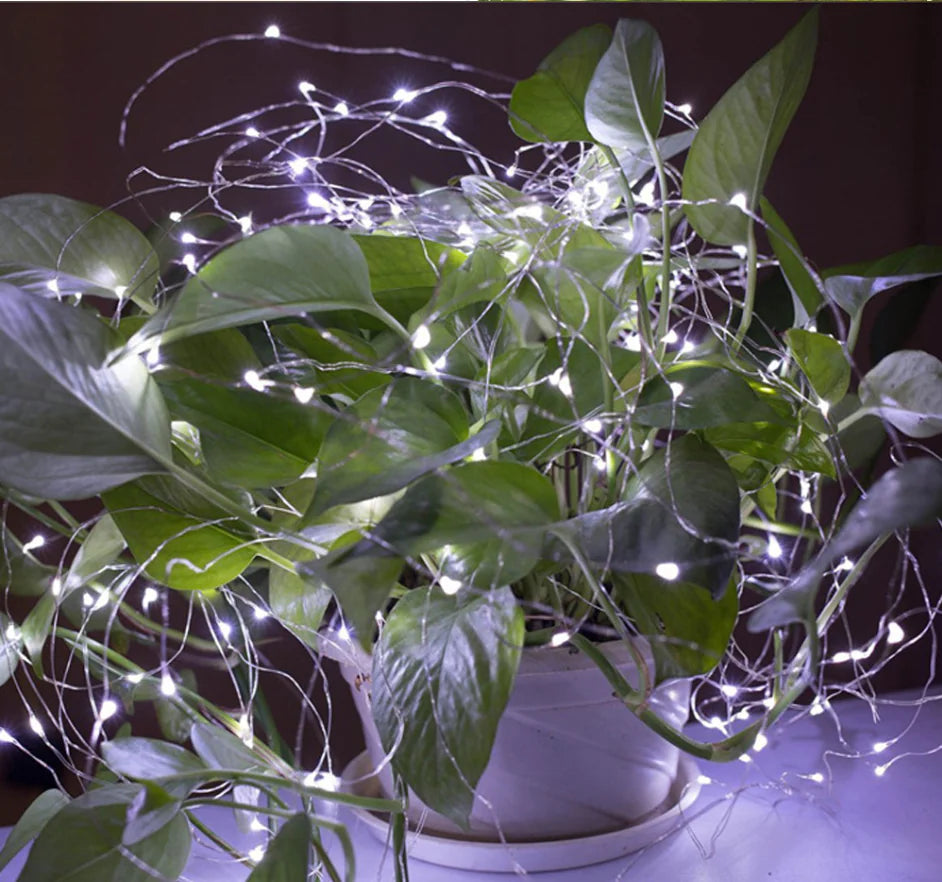 LED Decorative Lights for Christmas