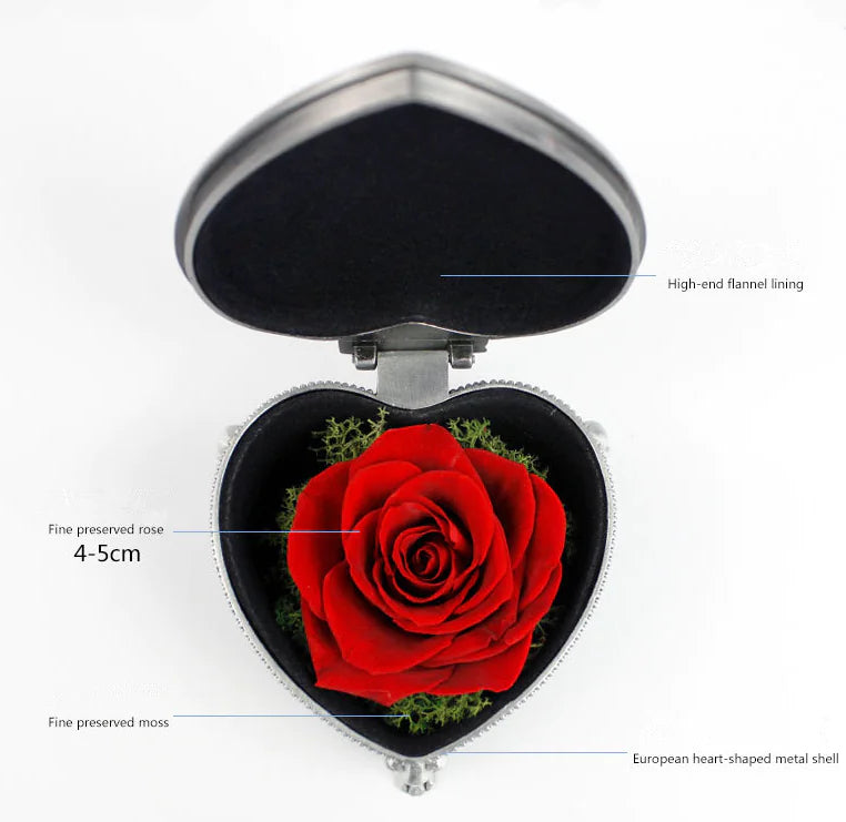 Creative Christmas Gift: Eternal Rose in Heart Box